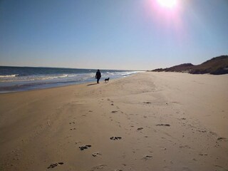 Appartement Skagen  19