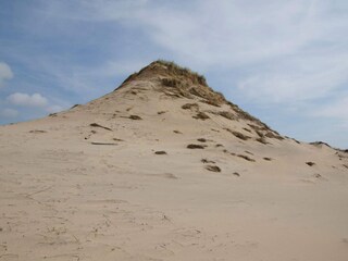 Appartement Skagen  10