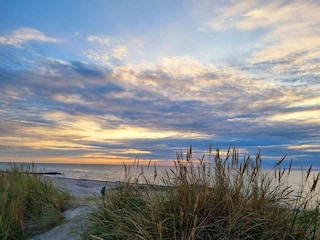 Apartment Skagen  31