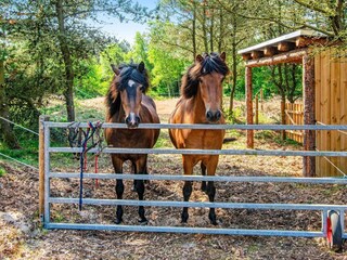 Maison de vacances Kirkeby  5