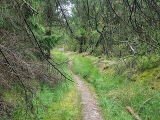 Vakantiehuis Kirkeby  7