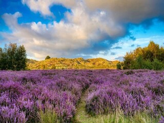 Maison de vacances Kirkeby  27