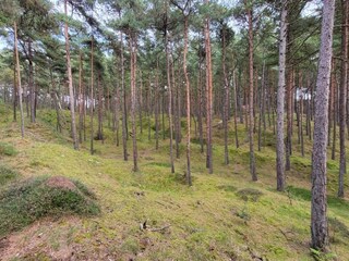 Casa per le vacanze Kirkeby  38