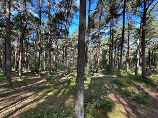 Vakantiehuis Kirkeby  41