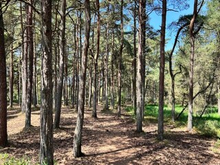 Casa per le vacanze Kirkeby  43