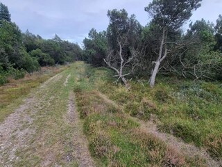 Casa per le vacanze Kirkeby  19