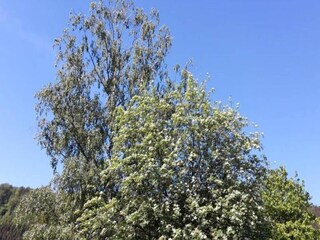 Appartamento Groß Teetzleben Ambiente 38