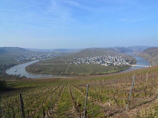 Appartement Neumagen-Dhron Omgeving 35