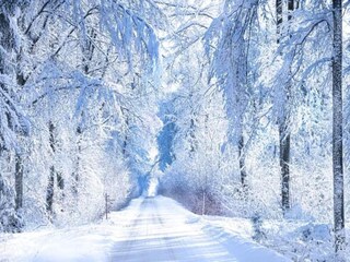 Apartment Altshausen Umgebung 18