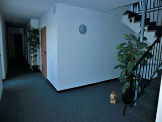 Appartamento Winterberg Caratteristiche 20