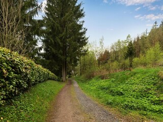 Vakantiehuis Steinbach-Hallenberg Omgeving 37