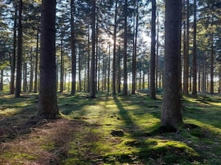 Apartment Sonneberg Umgebung 31
