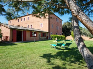 Fattoria Montescudaio Registrazione all'aperto 7