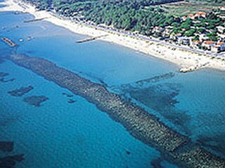 Fattoria Montescudaio Ambiente 17