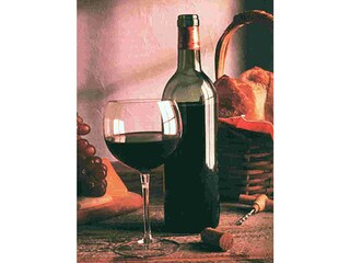 Fattoria Montescudaio Ambiente 23