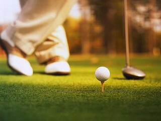 Fattoria Montescudaio Ambiente 20