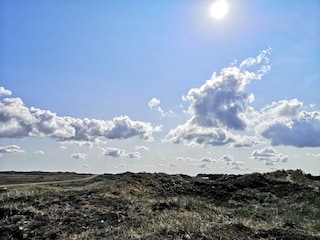 Dünenlandschaft