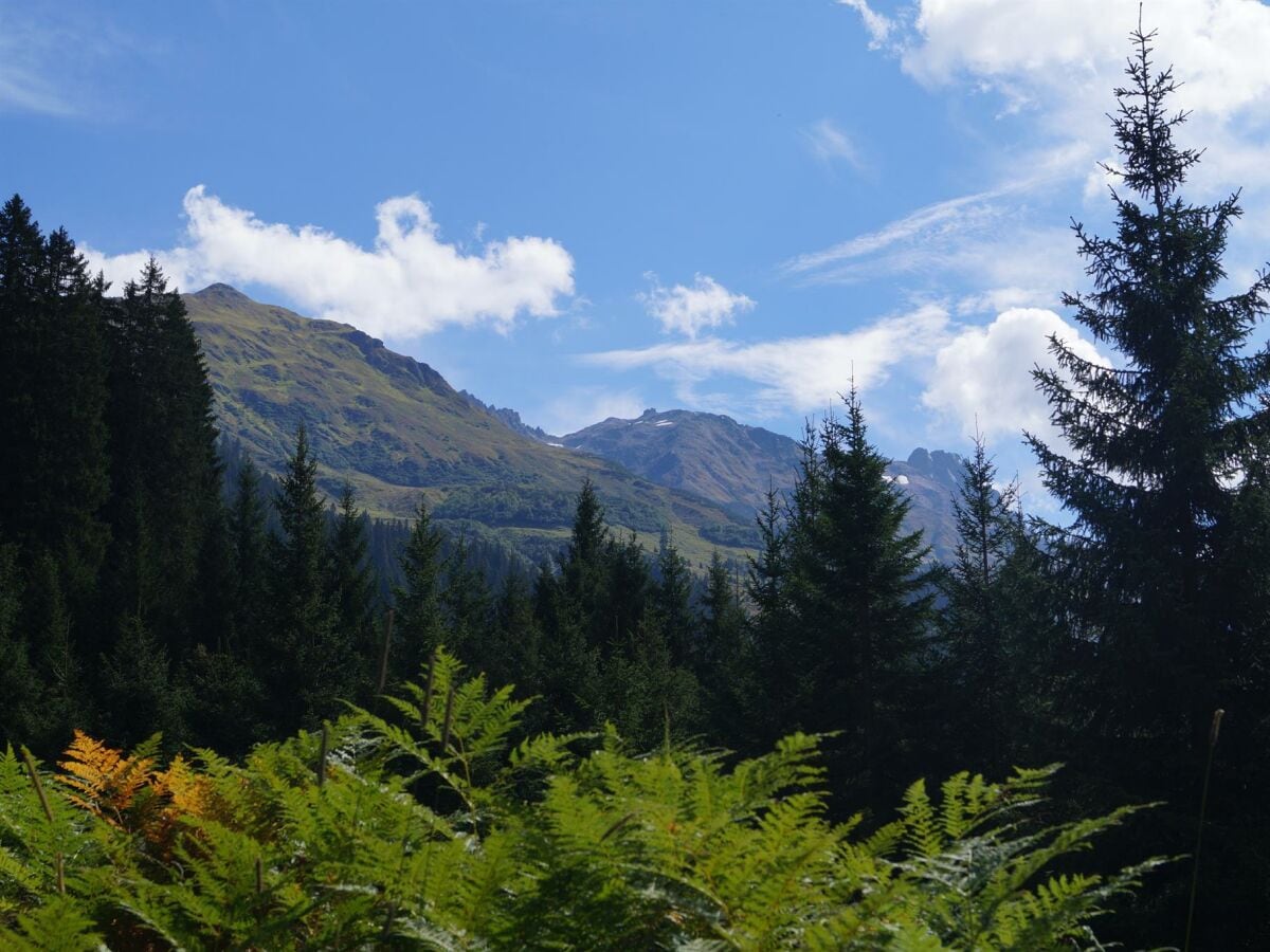 Bergwelt - Nenzigast