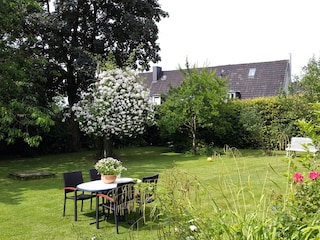 Blick in den Garten