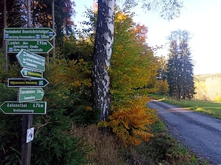 Ferienhaus Vugelbeerhäusl'  im wanderbaren Erzgebirge