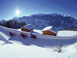 Apartment Aschau im Zillertal Environment 44