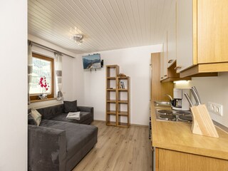 Apartamento Ramsau im Zillertal Características 24