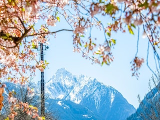 Apartment Ramsau im Zillertal Umgebung 27