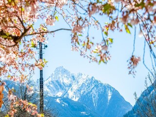 Apartment Ramsau im Zillertal Umgebung 29