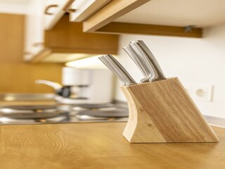 Apartamento Ramsau im Zillertal Características 25