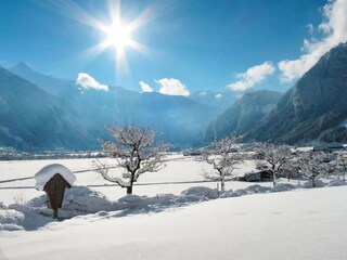Appartement Ramsau im Zillertal Environnement 32