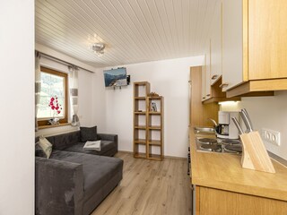 Apartamento Ramsau im Zillertal Características 22