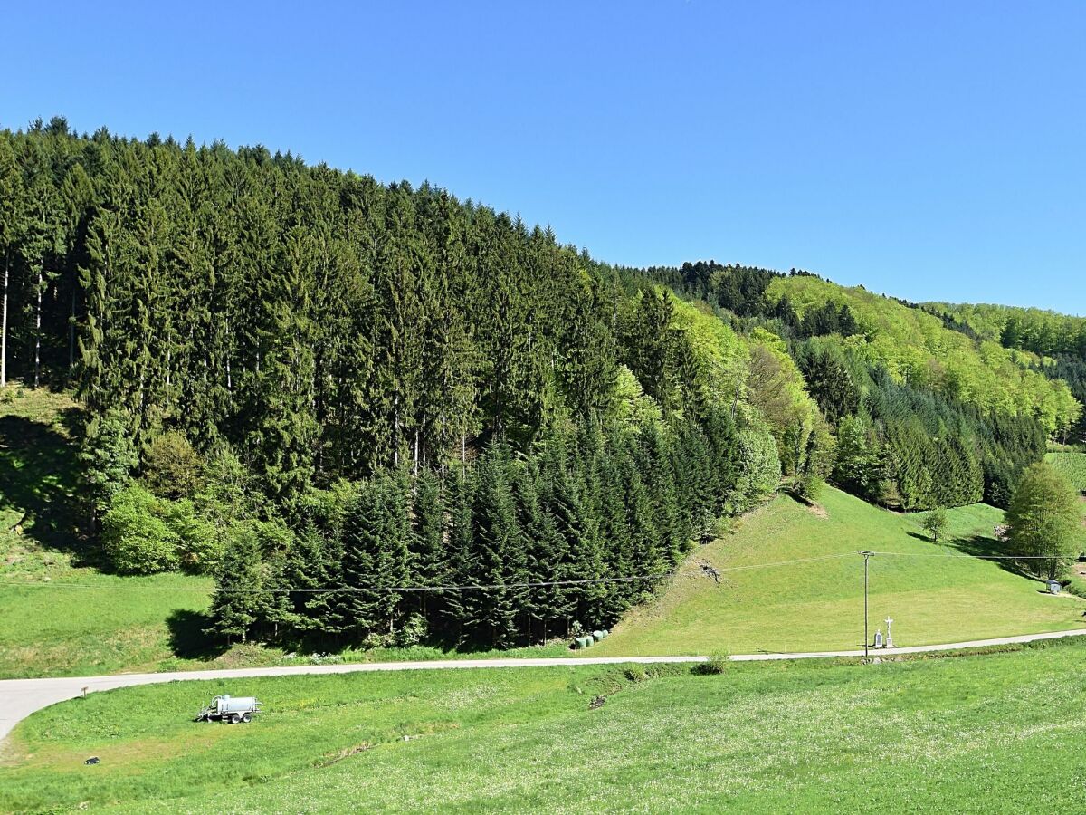 Apartment Biederbach Außenaufnahme 1