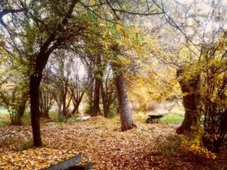 Vakantiehuisje Galapagar Omgeving 28