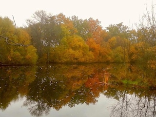 Cottage Galapagar Umgebung 25