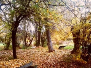 Cottage Galapagar Umgebung 28