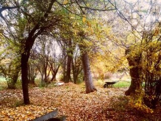 Holiday cottage Galapagar Environment 27