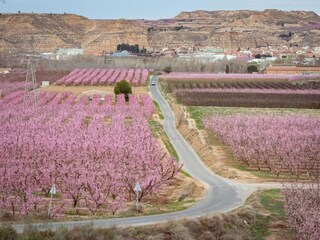 Casa de vacaciones Welt Entorno 31