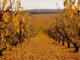 Casa de vacaciones Welt Entorno 37