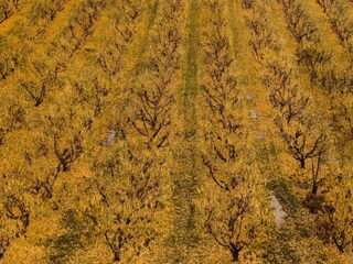 Ferienhaus Welt Umgebung 37