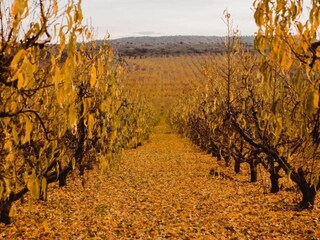 Maison de vacances Welt Environnement 32