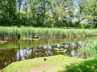 Casa de vacaciones Ootmarsum Entorno 25