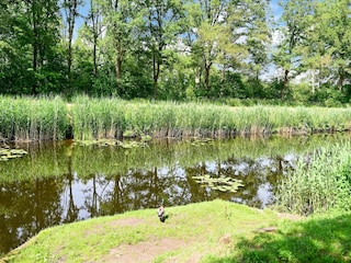 Ferienhaus Ootmarsum Umgebung 30