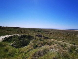 Vakantiehuis Fanø  13