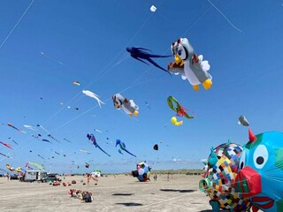 Vakantiehuis Fanø  39