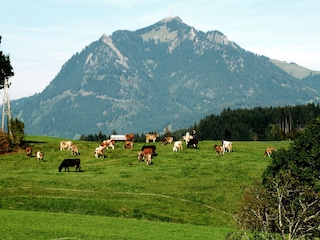 Wunderbare Umgebung