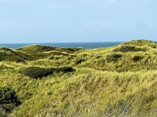 Vakantiehuis Blokhus  35