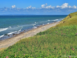 Casa per le vacanze Udsholt Strand  33