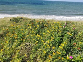 Casa per le vacanze Udsholt Strand  28