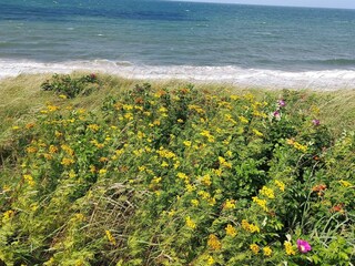 Vakantiehuis Udsholt Strand  42