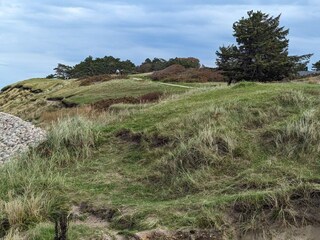 Vakantiehuis Udsholt Strand  7